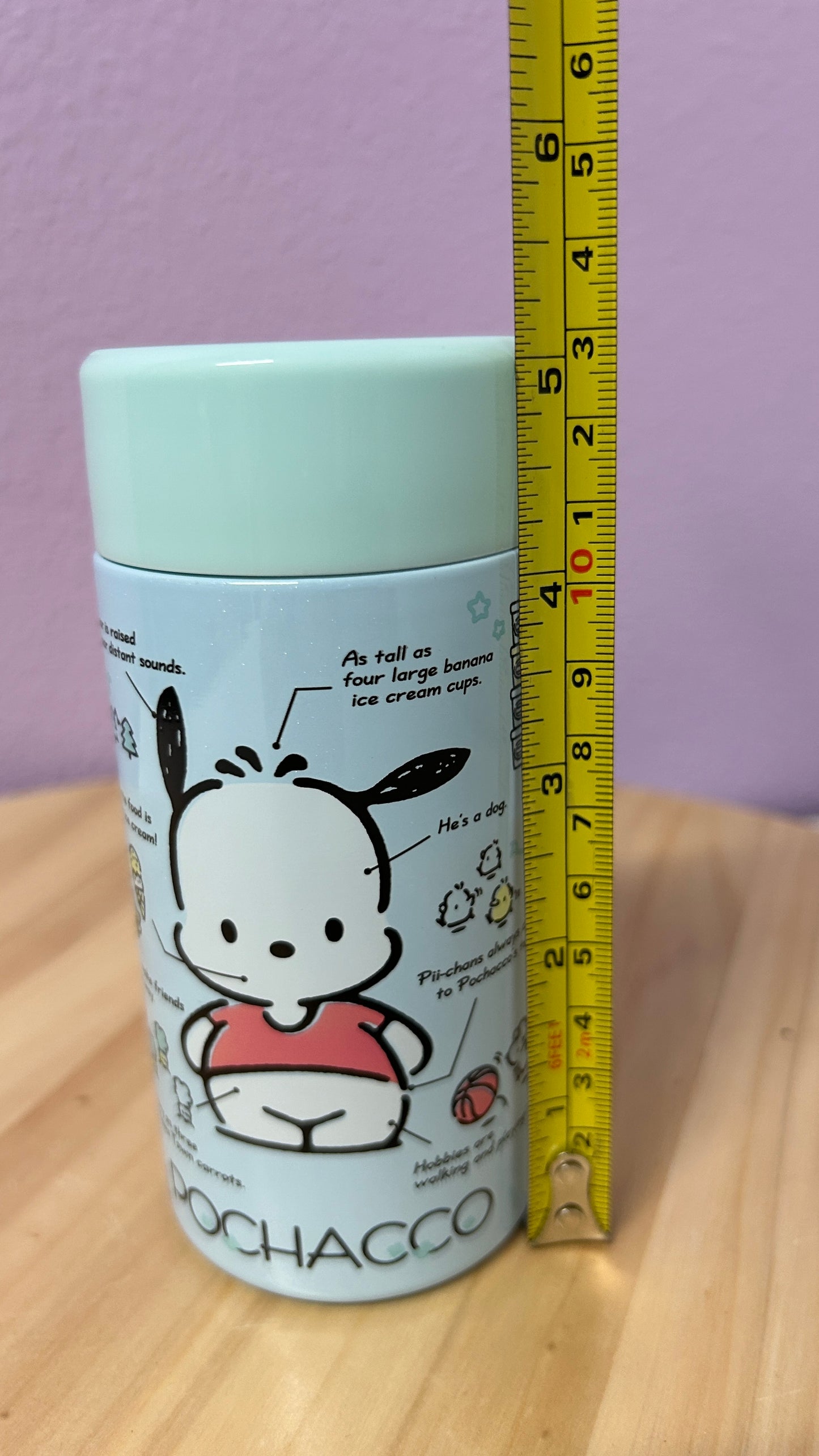 small Sanrio Pochacco Stainless Steel water bottle